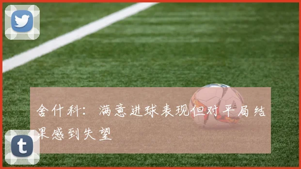 舍什科：满意进球表现但对平局结果感到失望