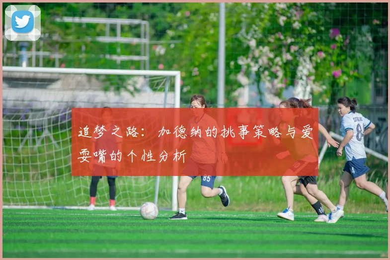 追梦之路：加德纳的挑事策略与爱耍嘴的个性分析