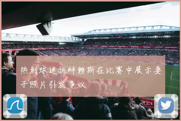 热刺球迷挑衅赖斯在比赛中展示妻子照片引发争议