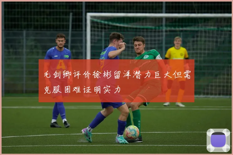毛剑卿评价徐彬留洋潜力巨大但需克服困难证明实力